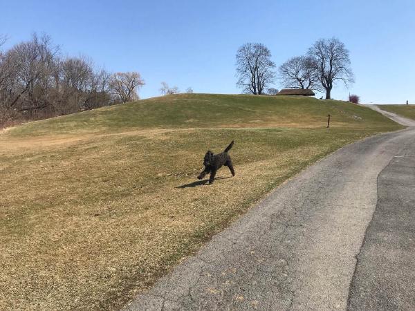 Hampshire College:  Convergence?