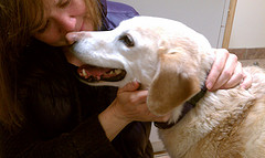 image from farm6.static.flickr.com